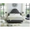 Inspired Home Laroche Queen Platform Bed Beds & Headboards